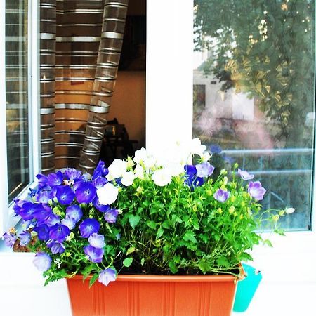 Apartment 5 Min By Walk To The Center Brno Exterior photo